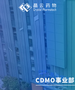 CDMO事業部 | 晶云星空順利通過歐盟QP審計